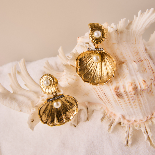 Brinco Concha Maldivas