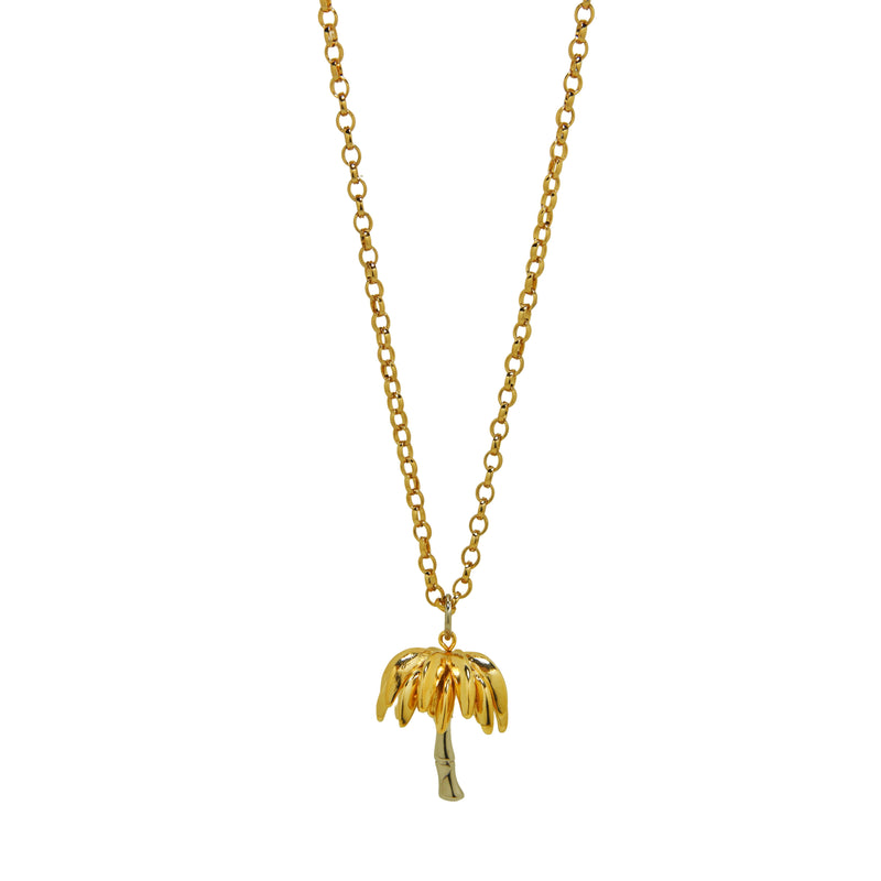 Colar 1 Coqueiro