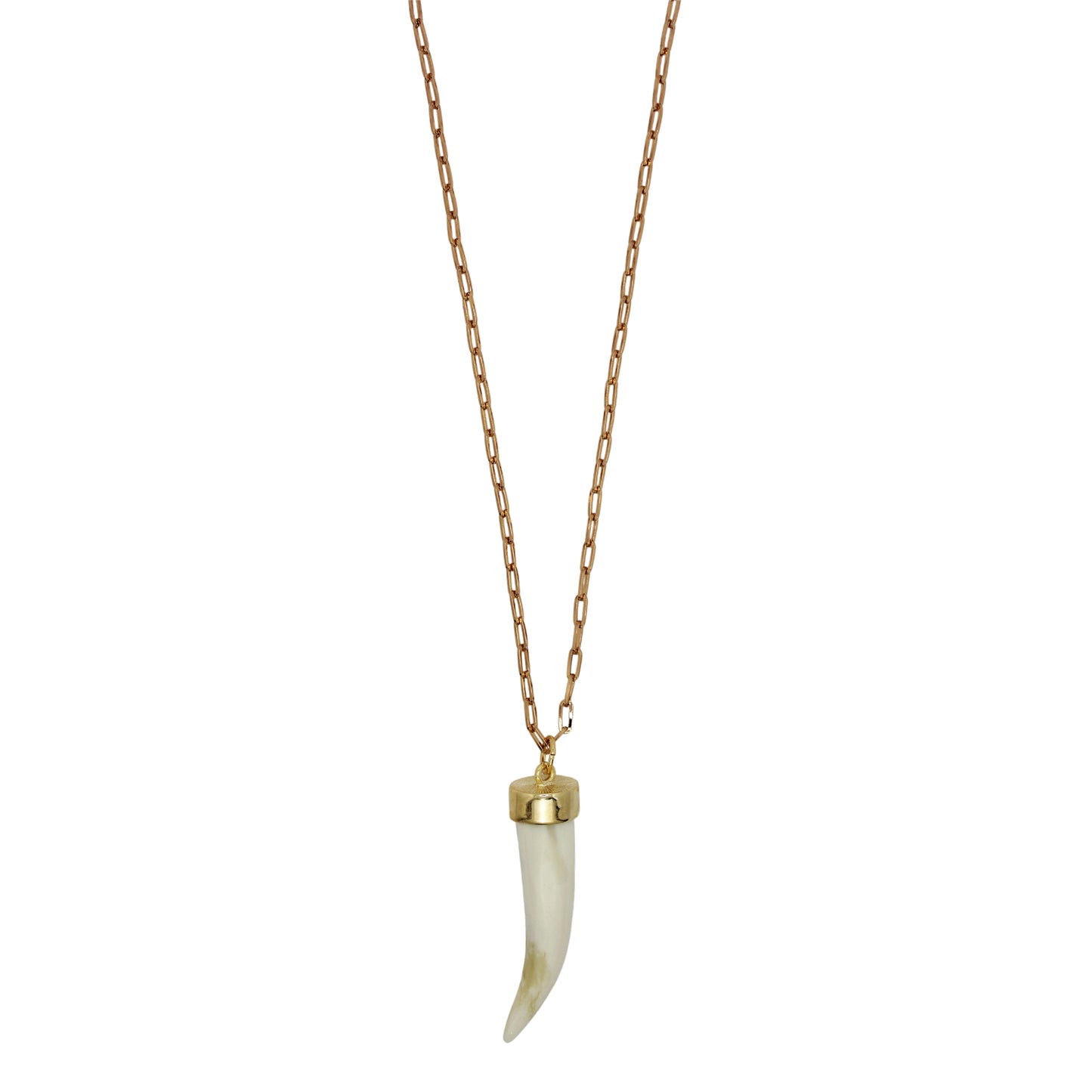 Colar Dente Longo