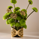 Pulseira Bouquet