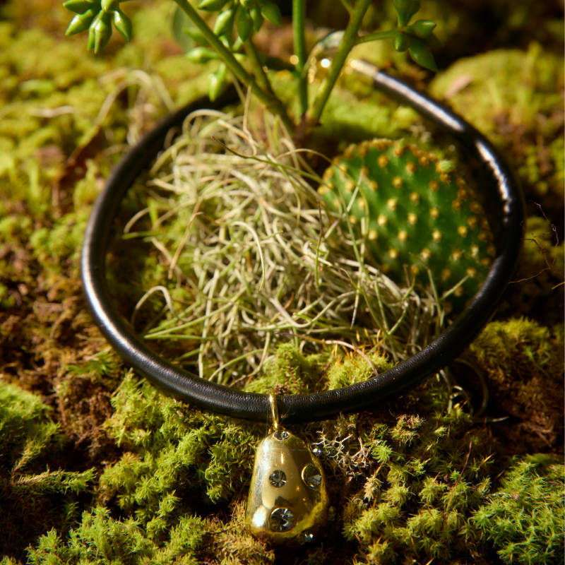 Colar Couro Poá Shine