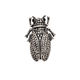 Broche Mini Escaravelho