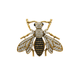 Broche Mosca Real Strass