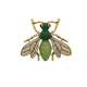 Broche Mosca Real Strass