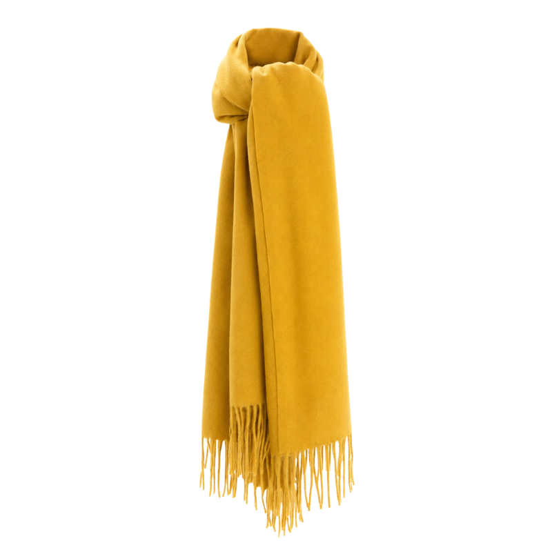 Pashmina
