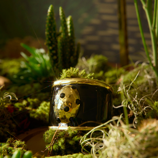 Pulseira Pintura Pepita Shine