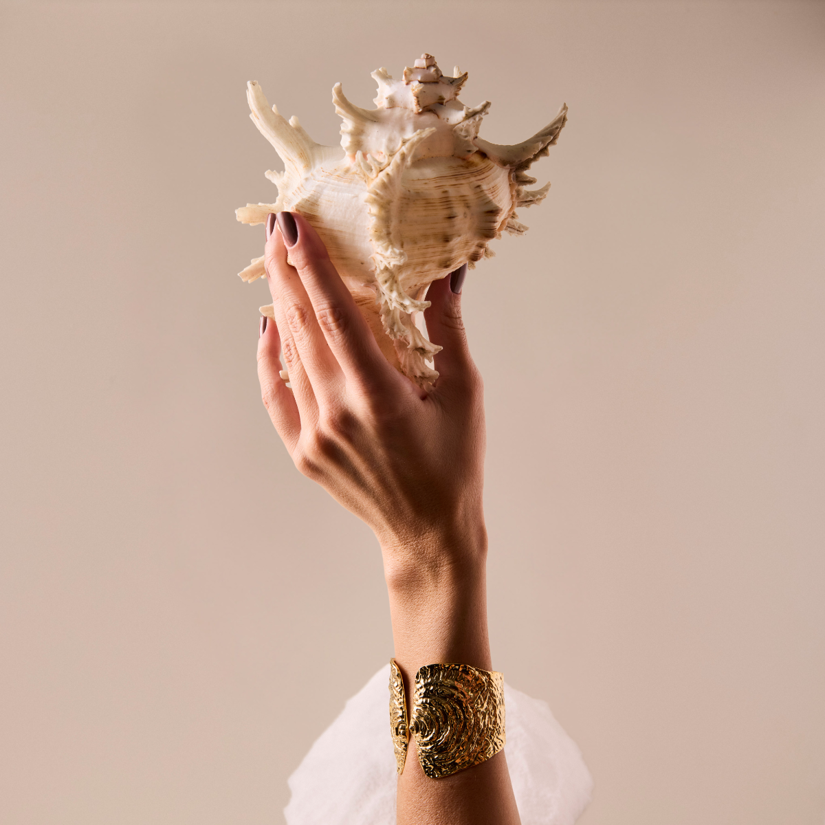 Pulseira Mola Caramujo