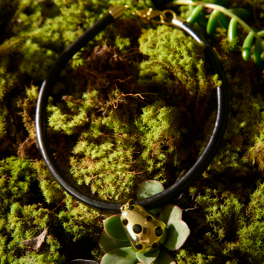 Colar Couro Poá Shine