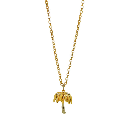 Colar 1 Coqueiro