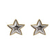 Brinco Estrela